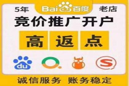 行业领先企业的信息流竞价策略揭秘